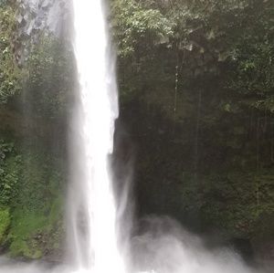 Meet your Posher, Ana